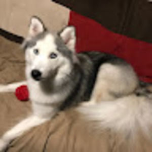 Meet your Posher, Natalie